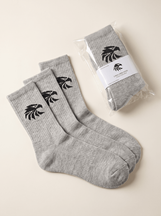 Ascent Performance Socks – Grey Color - GymWings
