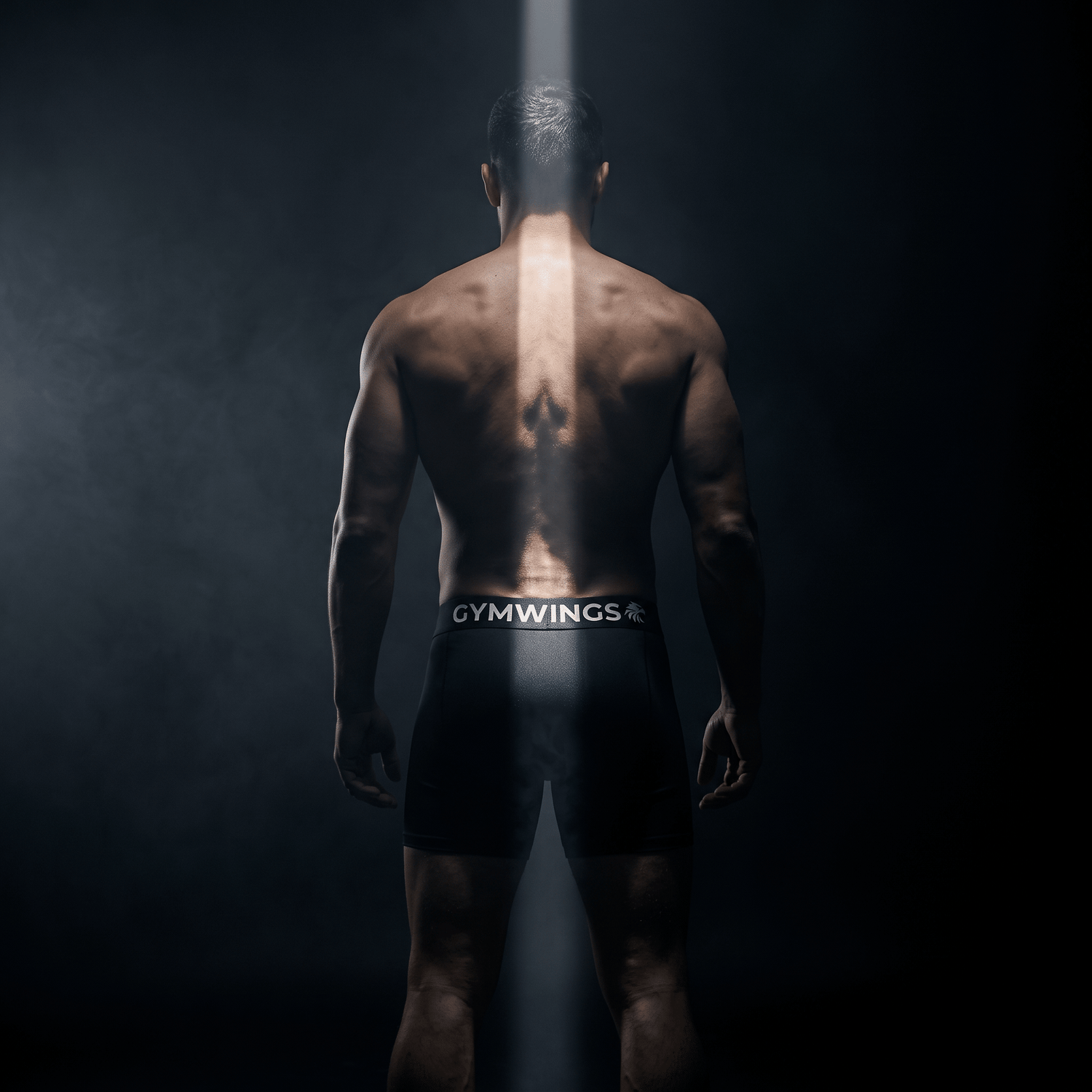All - GymWings