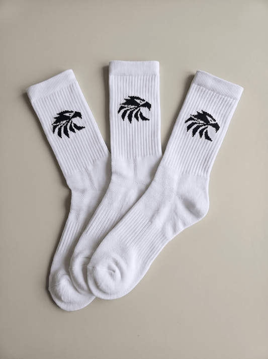 Ascent Performance Crew Socks - GymWings