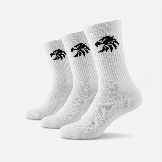 Ascent Performance Socks (3 Pack)